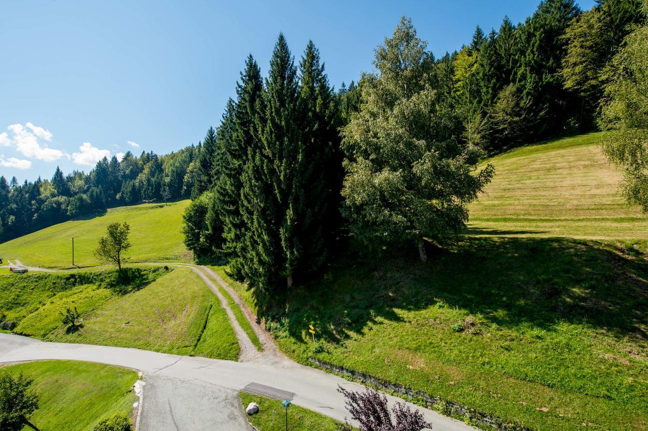 Panoramahotel Hauserhof 헤르마고 외부 사진